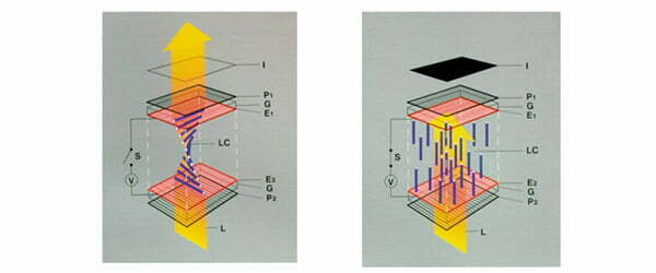 TN - Twisted Nematic Panels